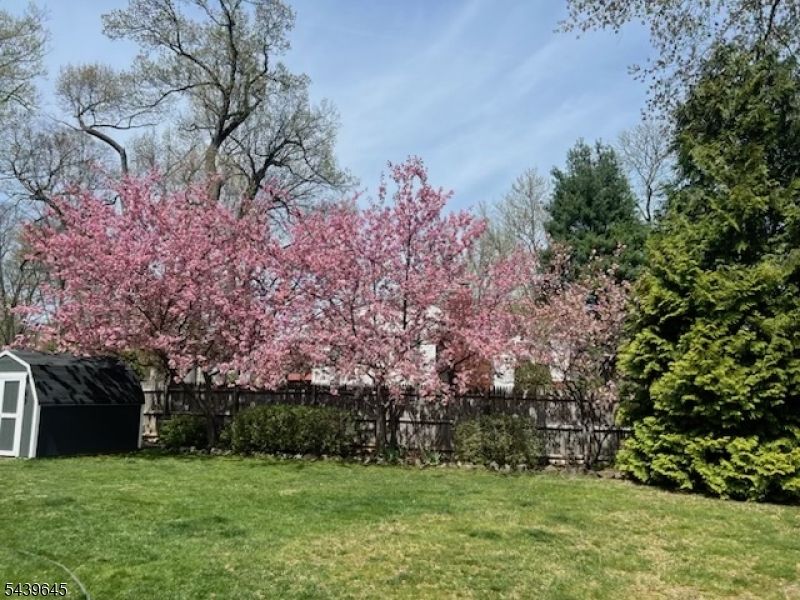 Salt Brook - Residential