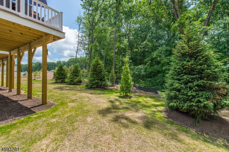 Mountain Ridge - Residential
