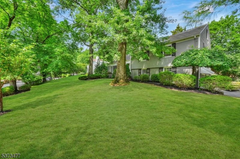 Old Short Hills - Residential