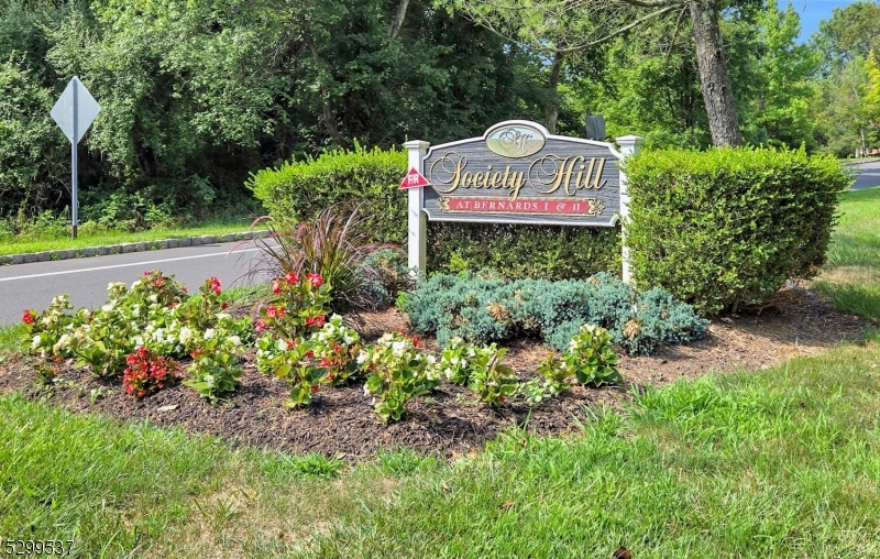 Society Hill - Residential