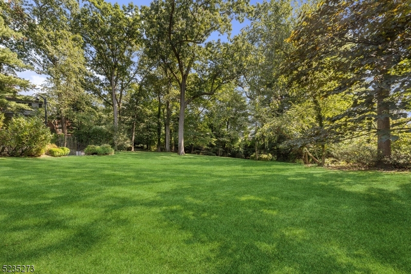 UPPER MONTCLAIR - Residential