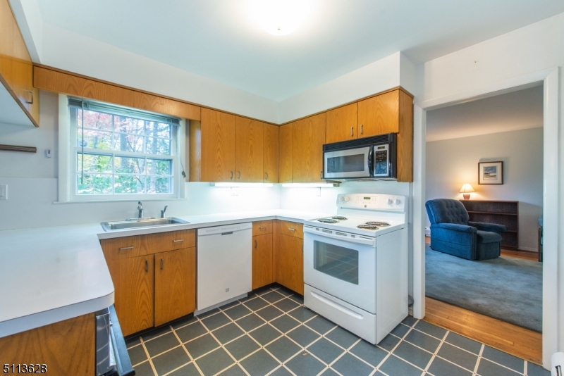 Shongum Lake - Residential