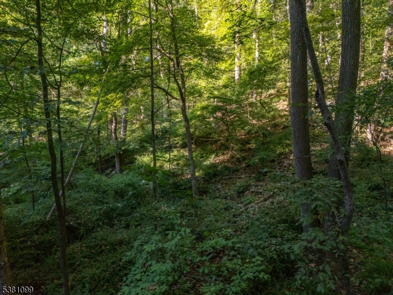 Beautiful 4.23 Acre Wooded Lot within Highly Sought After and SCENIC HUNTERDON County!  Nestled within attractive Tax Rated Holland Twp yet Just MINUTES to COMMUTER Routes, Many CONVENIENCES and the Charming downtown areas of both Milford and Historic Clinton! Be swept away by the peace and tranquility of this lovely setting! The calming sound of the running water from the Haikihokake Creek as it passes along the property is an added bonus! Zoned as a Residential 1 Family property! Lot is undersized as current requirements are a Minimum of 5 Acres, but the adjacent property is also for sale through another broker (See MLS 3975883)  If a buyer were to purchase both properties, they would have over 8 Acres to work with! Highlands Restrictions Apply! Buyer Must Perform their own Due Diligence! Raw Land! NO Current tests available for the property. Owner had previous tests performed many years ago but those are no longer valid. Dare to dream and come check out this gorgeous property today!