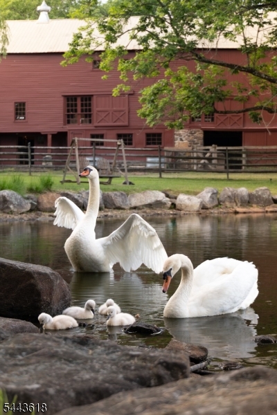 By Pond Farm - Residential