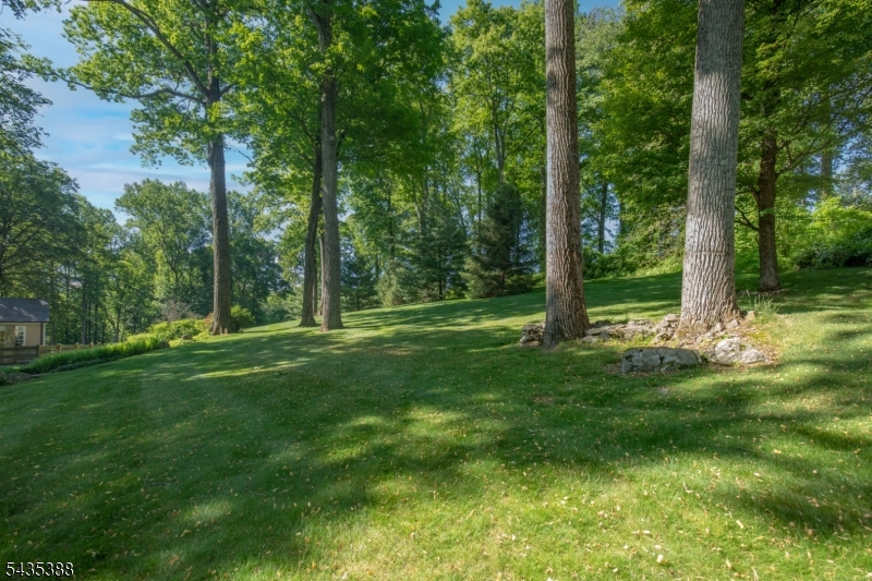 Bernardsville Mountain - Residential
