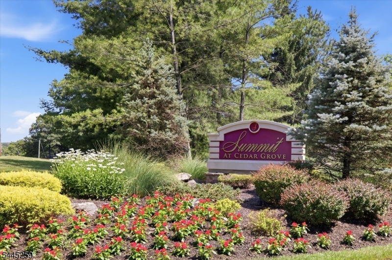 The Summit At Cedar Grove - Residential
