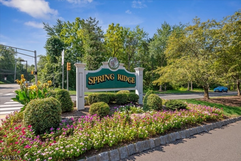 Spring Ridge - Residential