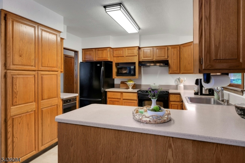 Budd Lake - Residential