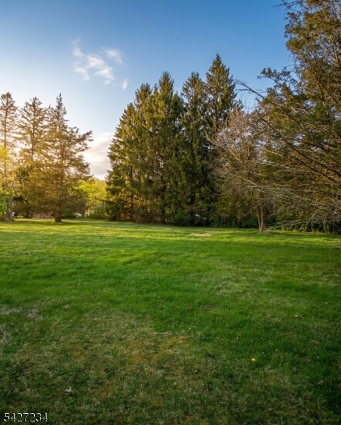 Discover the perfect canvas for your custom dream home in the highly coveted Brookside section of Mendham Township. This prime 0.44-acre parcel offers level, accessible terrain, providing an ideal foundation for your architectural vision. Enjoy a serene, small-town atmosphere while remaining within easy reach of top-rated schools of Mendham and the vibrant amenities of downtown Morristown.  Public water and natural gas lines accessible in the street. Bring your builder and your plans to this rare opportunity to plant your roots in one of New Jersey's most desirable communities. Tailored to their needs in a location known for charm and accessibility. Bring your builder and your plans to create something truly special.