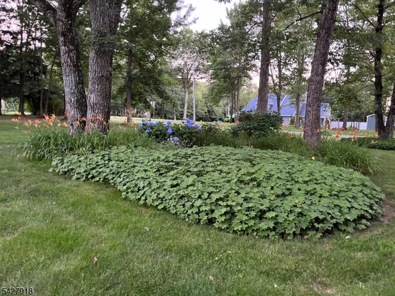 Budd Lake - Residential