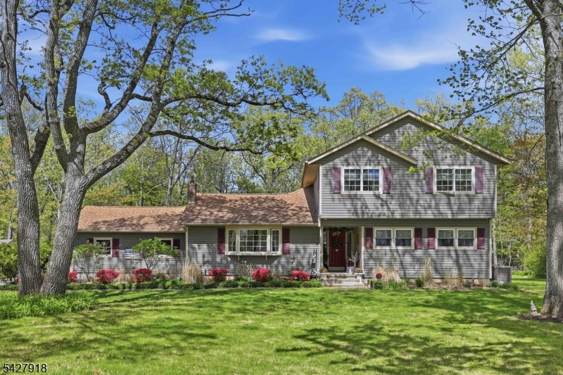 Budd Lake - Residential