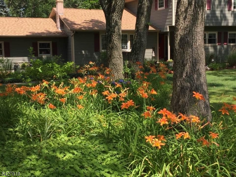Budd Lake - Residential
