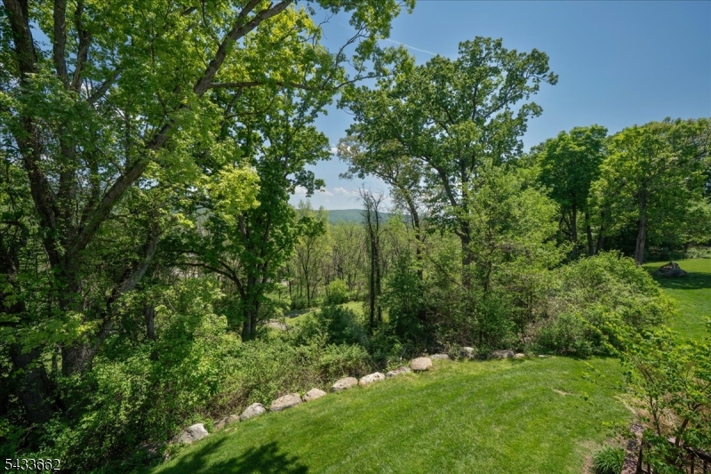 Crystal Springs - Residential