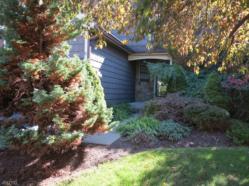 Panther Valley - Residential