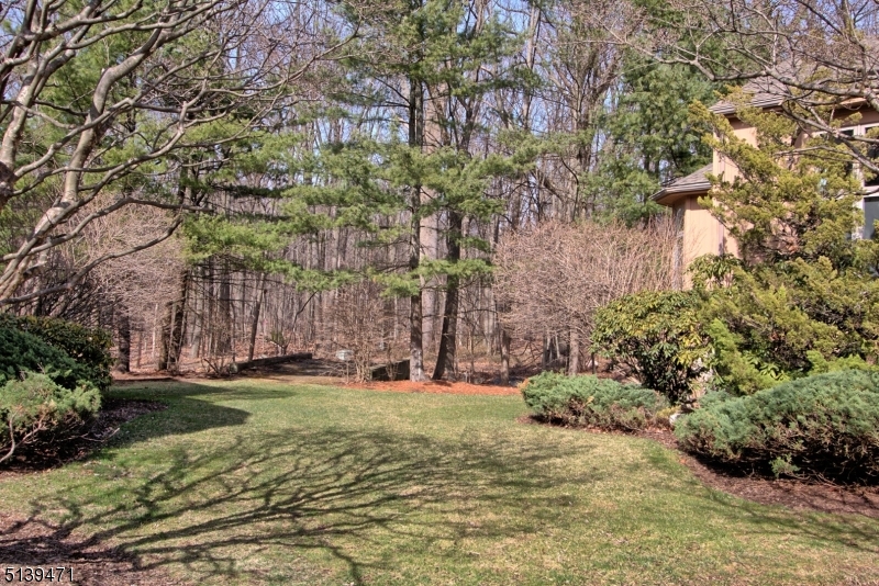 Spruce Edge - Residential
