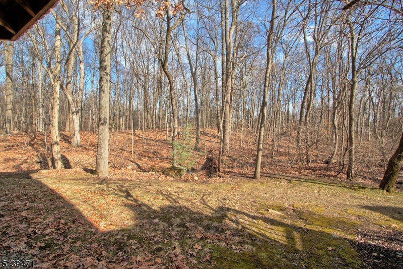 Spruce Edge - Residential