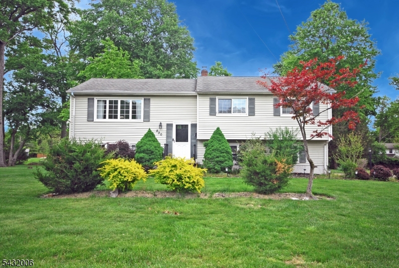 Come and bask in this refreshingly renovated home, with a stylishly updated Kitchen, elegantly appointed Baths, and an eclectic and chic array of light fixtures throughout.  The main floor boasts gleaming naturally-toned hardwood floors, and the ground floor sports luxury vinyl plank flooring.  The large living area has abundant light, and opens to the Kitchen, featuring a breakfast bar, quality stainless steel appliances, quartz counters, and white designer cabinetry. The 4th bedroom is on its own level, ideally suited for guests, who may prize their own space. On this level, there is also a large Family Room, well suited to gatherings, as it's assessable to the home's brick patio. The second outdoor space is a wood deck. off the Kitchen, which overlooks the level and sprawling half-acre yard, adorned with trees, shrubs, and a healthy expanse of grass. The home has wonderful curb appeal, and is situated  in the very desirable Piedmont section of Bound Brook. Enjoy the community feel, the tree-lined streets, and the walkability of the neighborhood.  Be conveniently located to Rts. 22 and 287, and the downtown areas of Bound Brook, Martinsville, and Warren.  Find your Happy Place in your new Happy Home!