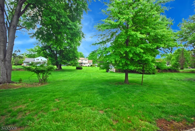 Piedmont - Residential Lease