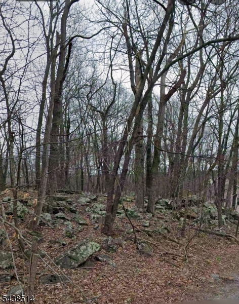 Fantastic opportunity to build your dream home or vacation getaway in the desirable Lake Panorama community. Conveniently located within walking distance to the lake, this property offers the perfect setting for enjoying lake community living and outdoor recreation. Motivated seller and priced to sell. Submit all offers!