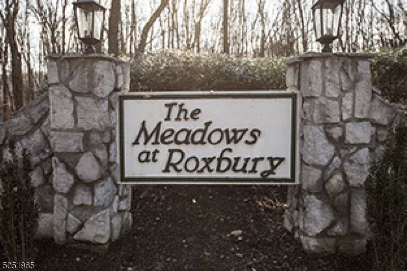 Meadows at Roxbury - Residential