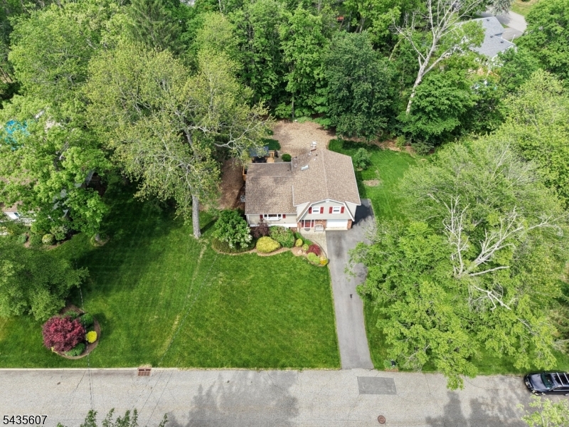 Cupsaw Lake - Residential