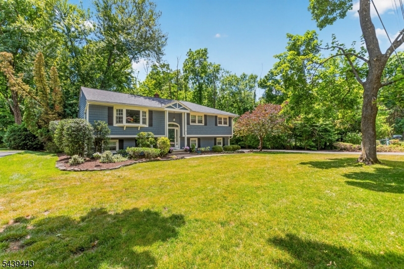 Intervale Heights - Residential