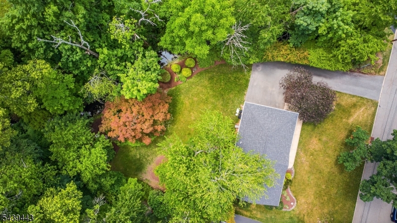 Intervale Heights - Residential