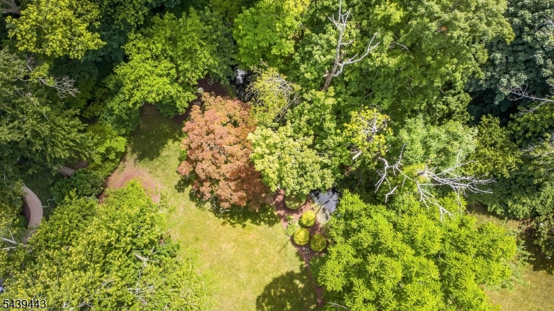 Intervale Heights - Residential