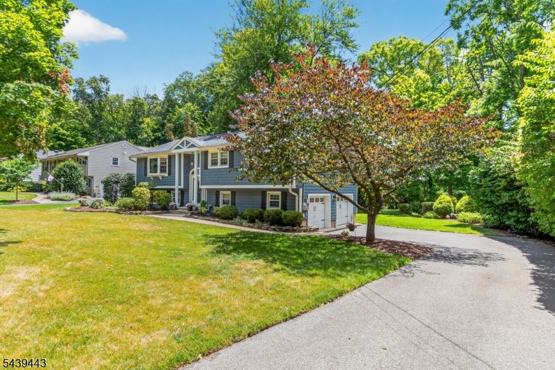Intervale Heights - Residential