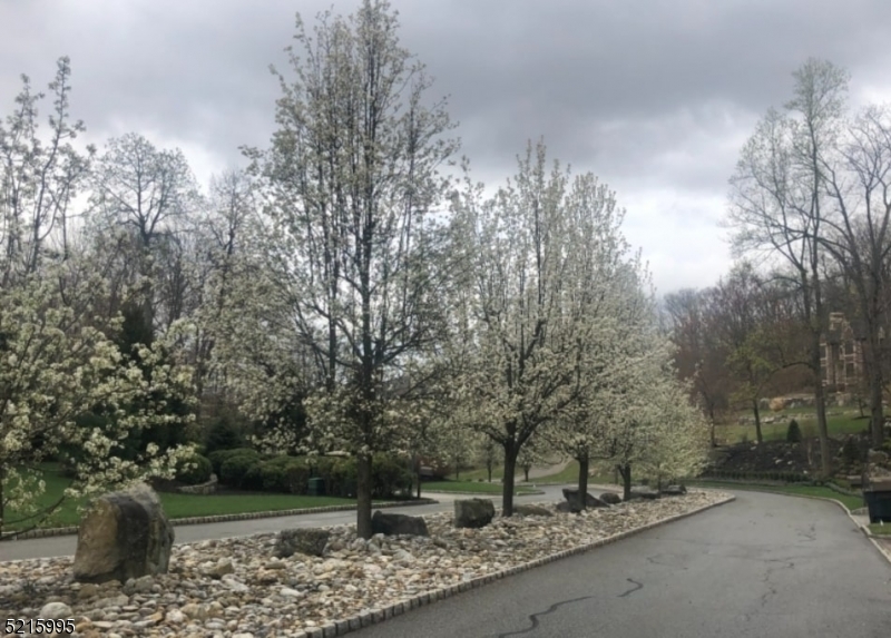 Tired of getting out  bid on homes or the homes you are seeing are not to your liking? Then build your dream home at the Estates of Valhalla.  Eaach home has been individually designed.  These home sites have been carvedout of an historic 100 year old quarry giving each lot unique character found no where  else. Montville is a community with excellent schools, out standing recreational facilities and library programs for people of alll ages. The town is convenient to fine dining, and routes 280, 287, and 80.  Enjoy town festivities such as Montville Day, Towaco Jazz Festival, Fourth of jJuly fireworks and carnival, and plant your own vegetables in the town garden plots.It is a most desireble place to live.