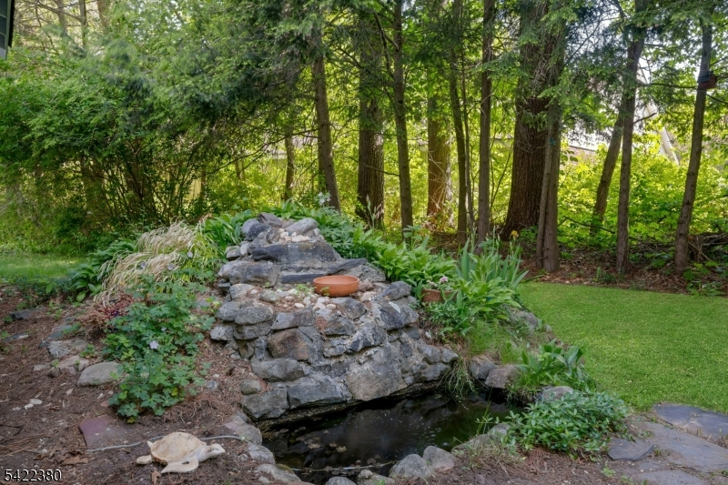 Lake Tamarack - Residential