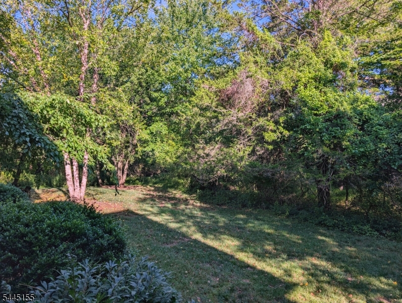 Pike Run Woods - Residential