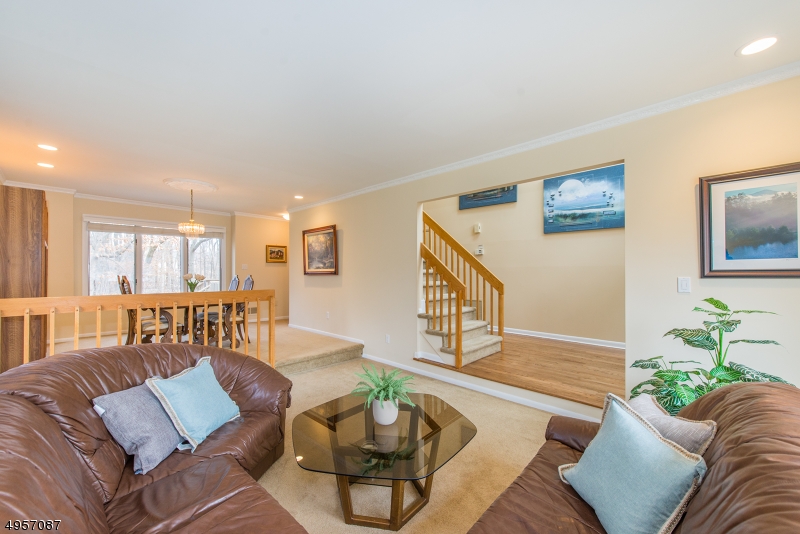 Dorset Hollow - Residential