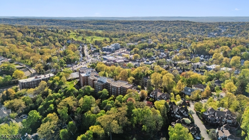 The Rockcliffe - Residential
