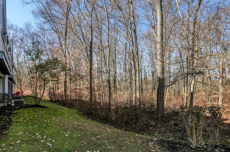 Meadows - Residential
