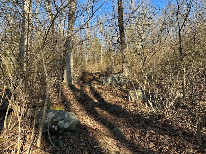 Lake Lenape - Land