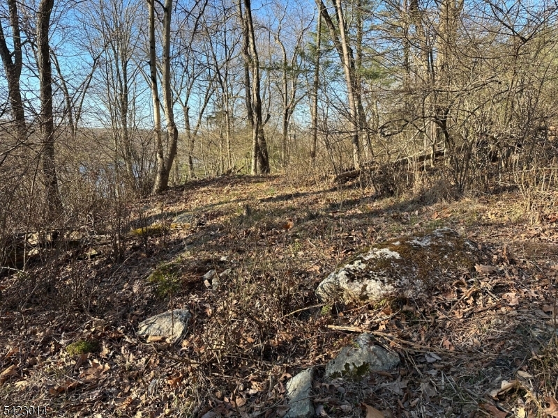 Lake Lenape - Land