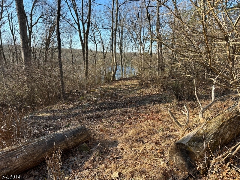 Lake Lenape - Land