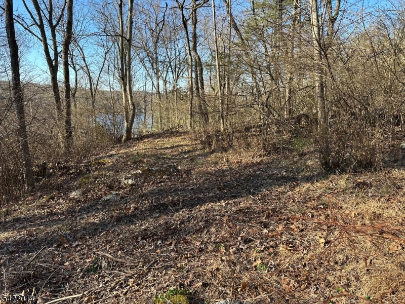 Lake Lenape - Land