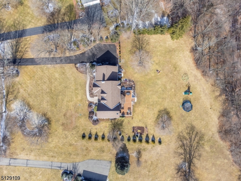 Forrest Hill - Residential