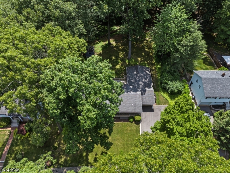 Beacon Hill - Residential