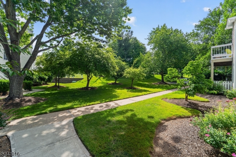 Mayfield - Residential Lease