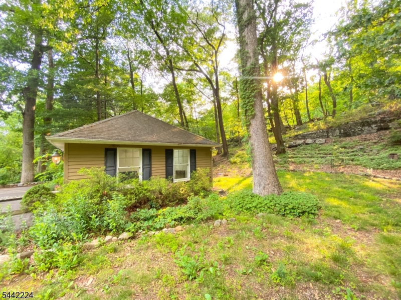 Rock Ridge Lake - Residential