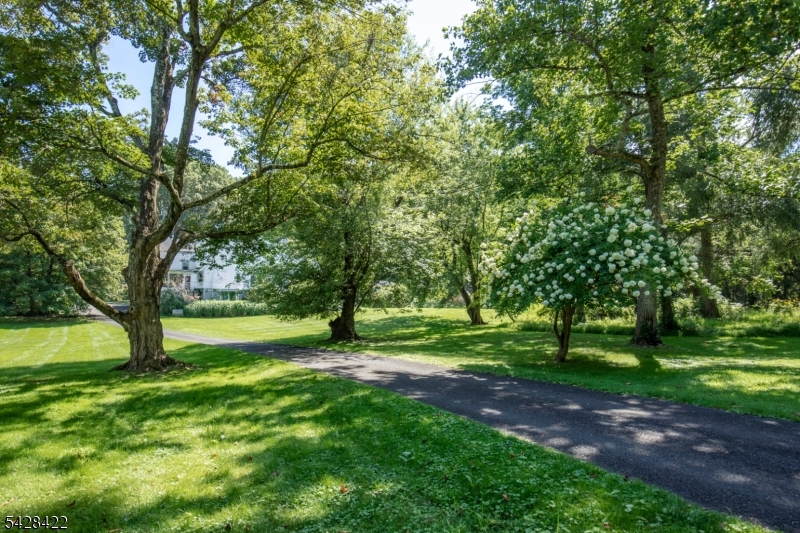 Bernardsville Mountain - Residential