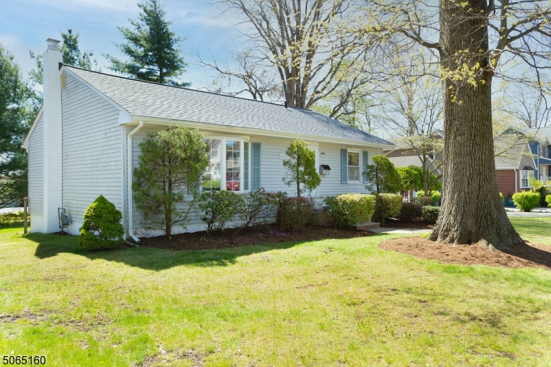 Lake Parsippany - Residential