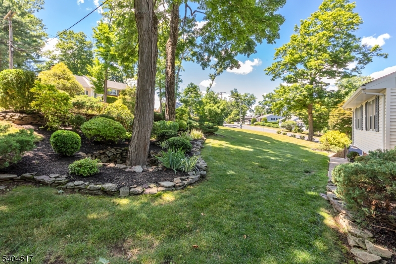 Murray Hill - Residential