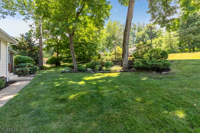 Murray Hill - Residential