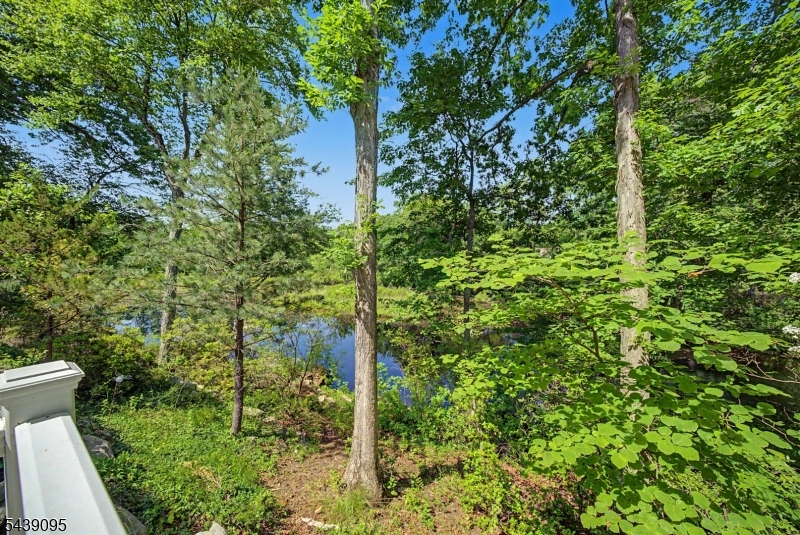 Cedar Lake - Residential