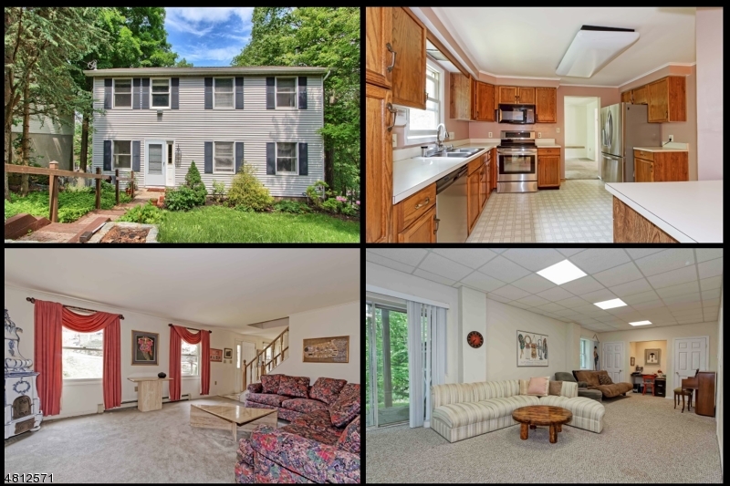 You will Love the Open Floor Plan and Generous Sized Rooms in this Colonial Home with a Fabulous Walk-Out Finished Basement. Features & Benefits include BRAND NEW GAS Furnace & Hot Water Heater, Eat-in Kitchen with Newer Stainless Steel French Door Refrigerator with Bottom Freezer, NEW Stainless Steel Stove, Stainless Steel Dishwasher, Neutral Décor, Ceiling Fans in Most Rooms, Sliders to Deck from Family Room, NEW Front Storm Door, Extra Large Closets and Storage Galore.  ENJOY the White Meadow Lake Lifestyle with Year-round Activities, Clubhouse, Day Camp, Pre-School, Gorgeous Lake with Boating, Fishing, Swimming, + 3 Beaches, Pools, Playgrounds, Tennis & Basketball Courts, Athletic Fields & More.  A LOT of House for the Money!  ALL Appliances Included.  Tandem Kayak + Sailboat Included. SEE IT TODAY!