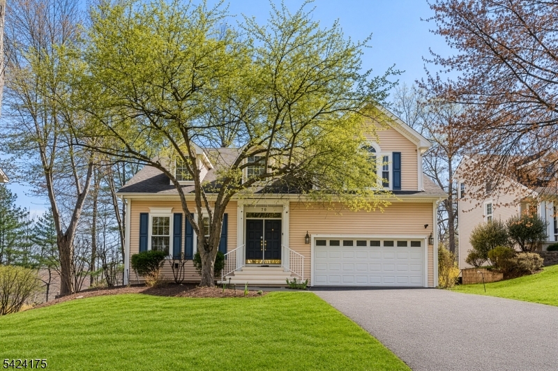 Hills- Carlisle - Residential